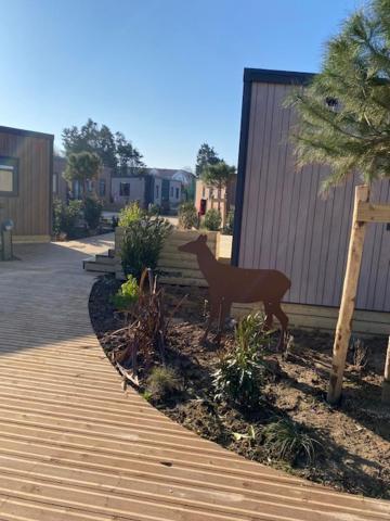 Camping de la Mer Camiers Eksteriør bilde